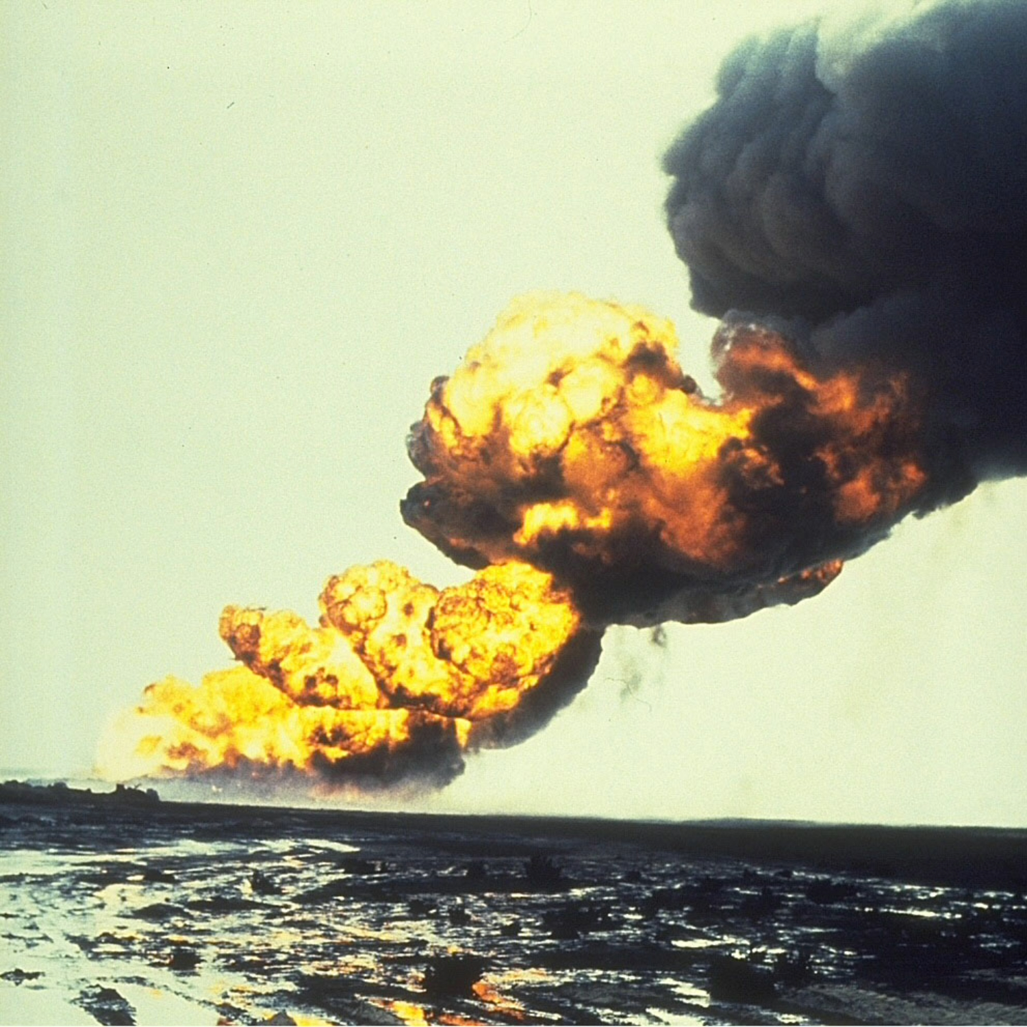 Aesthetic Violence: Art in the War on Terror. E09. episode artwork